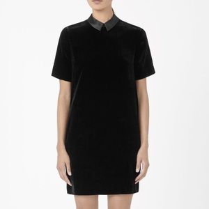 Velvet Shift Dress with Silk Collar